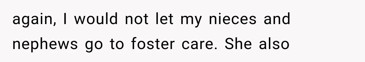 She Spent Years Supporting Her Brother’s Children, Then Her Family Expected Her to Become Their Parent again, I would not let my nieces and nephews go to foster care. She also