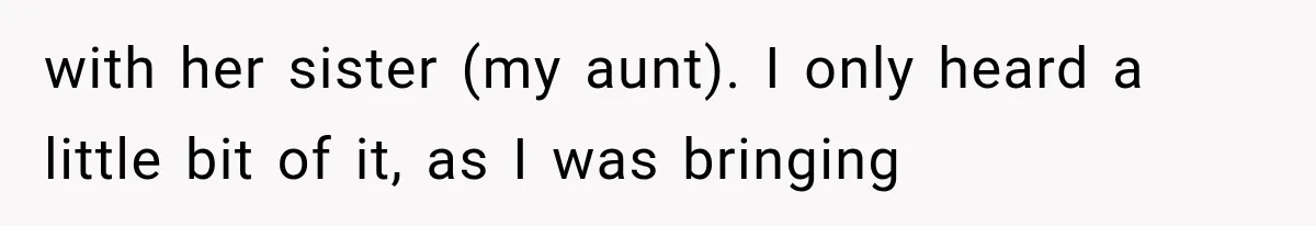 She Spent Years Supporting Her Brother’s Children, Then Her Family Expected Her to Become Their Parent with her sister (my aunt). I only heard a little bit of it, as I was bringing