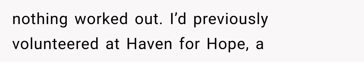 nothing worked out. I’d previously volunteered at Haven for Hope, a