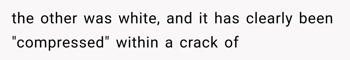 the other was white, and it has clearly been "compressed" within a crack of