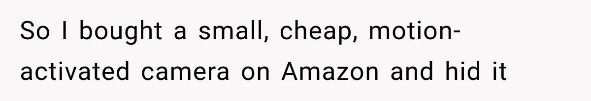 So I bought a small, cheap, motion-activated camera on Amazon and hid it