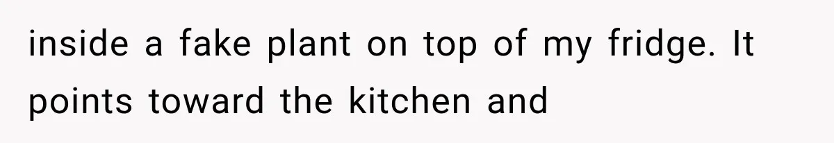 inside a fake plant on top of my fridge. It points toward the kitchen and