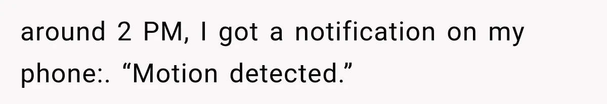 around 2 PM, I got a notification on my phone:. “Motion detected.”