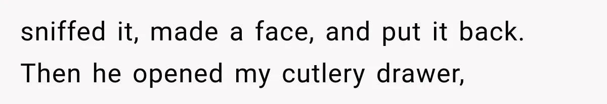 sniffed it, made a face, and put it back. Then he opened my cutlery drawer,