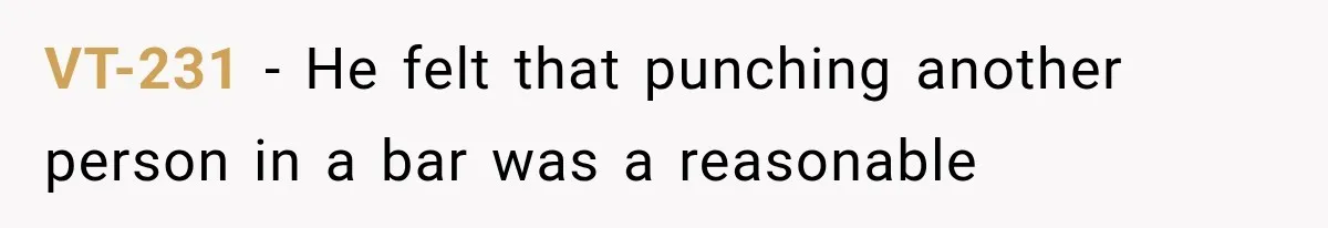 VT-231 − He felt that punching another person in a bar was a reasonable