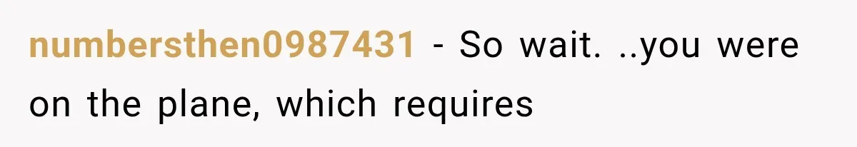 numbersthen0987431 − So wait. ..you were on the plane, which requires