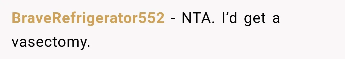 BraveRefrigerator552 − NTA. I’d get a vasectomy.