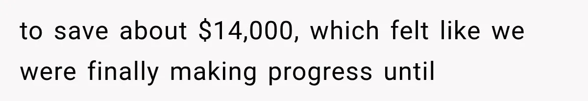to save about $14,000, which felt like we were finally making progress until
