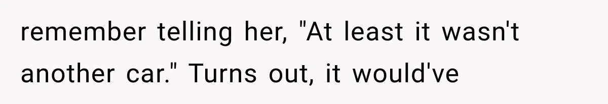 remember telling her, "At least it wasn't another car." Turns out, it would've