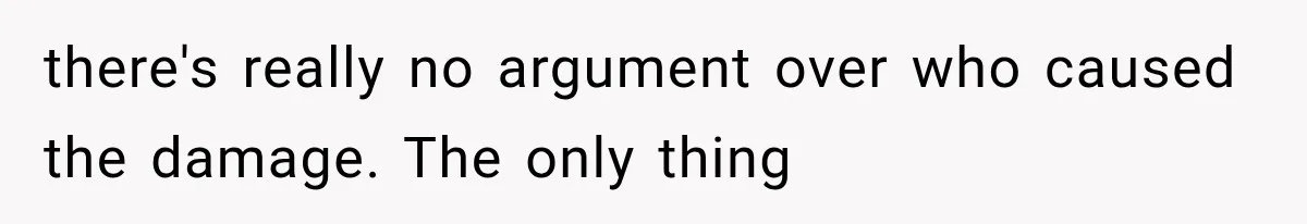 there's really no argument over who caused the damage. The only thing