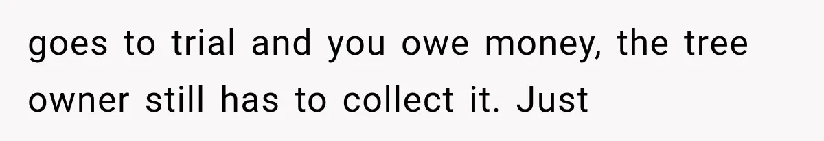 goes to trial and you owe money, the tree owner still has to collect it. Just