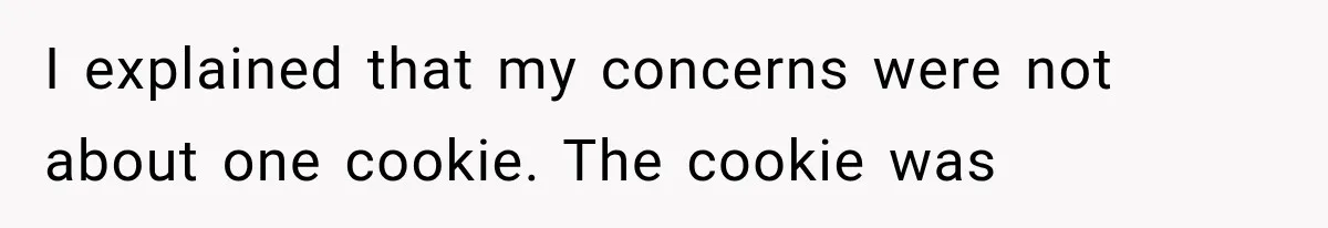 I explained that my concerns were not about one cookie. The cookie was