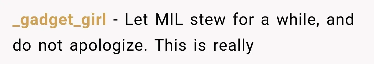 _gadget_girl − Let MIL stew for a while, and do not apologize. This is really