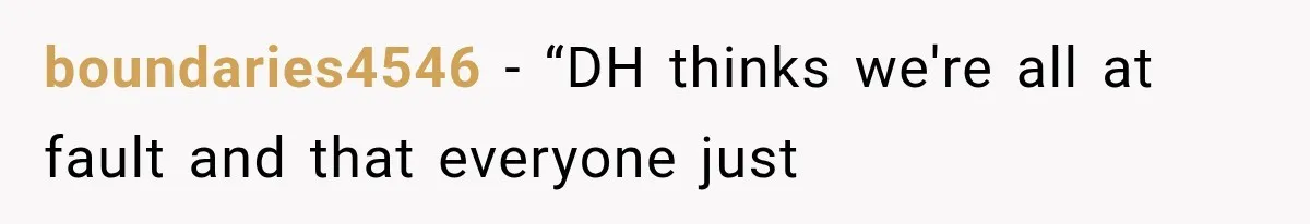 boundaries4546 − “DH thinks we're all at fault and that everyone just