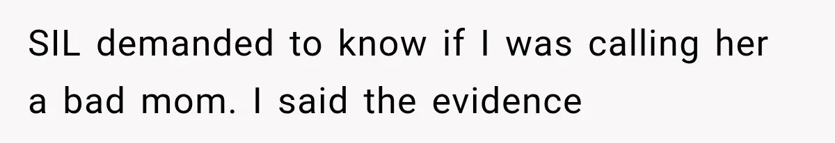Family Shows Up Uninvited After Mocking His Struggle, But His Relatives Finally Call Them Out SIL demanded to know if I was calling her a bad mom. I said the evidence