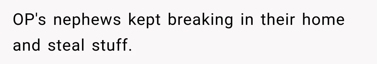 Family Shows Up Uninvited After Mocking His Struggle, But His Relatives Finally Call Them Out OP's nephews kept breaking in their home and steal stuff.