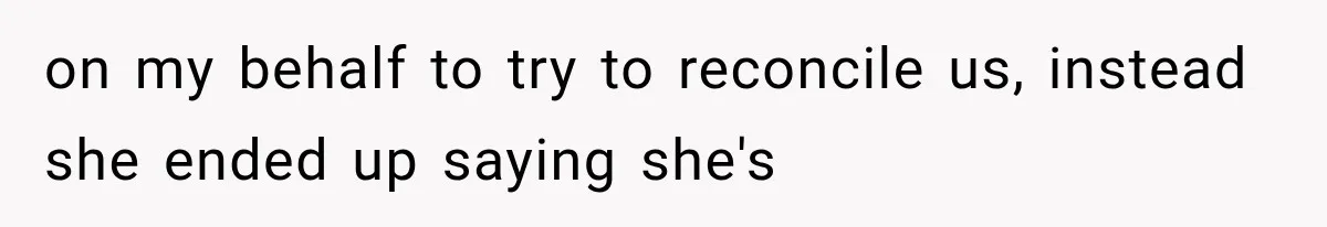 on my behalf to try to reconcile us, instead she ended up saying she's