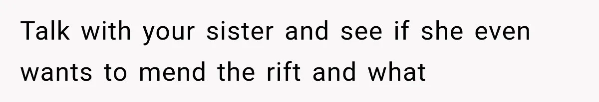 Talk with your sister and see if she even wants to mend the rift and what