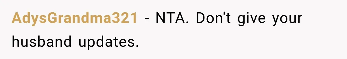 AdysGrandma321 − NTA. Don't give your husband updates.