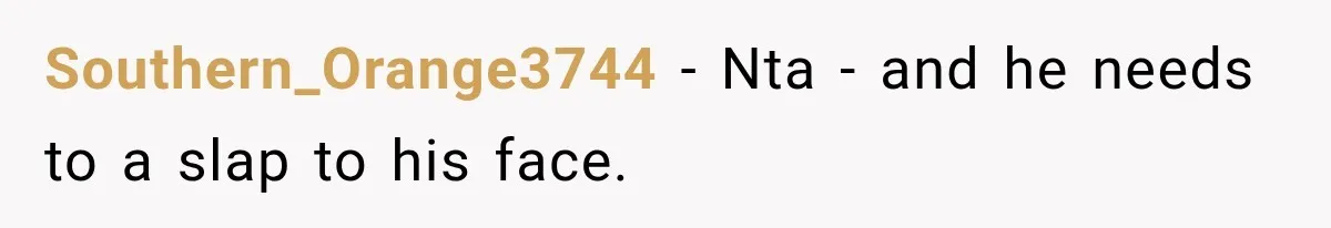 Southern_Orange3744 − Nta - and he needs to a slap to his face.