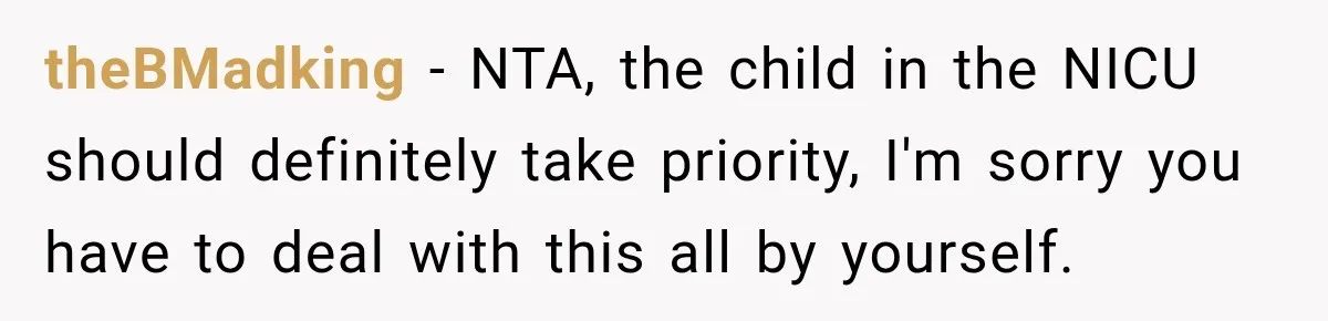 theBMadking − NTA, the child in the NICU should definitely take priority, I'm sorry you have to deal with this all by yourself.