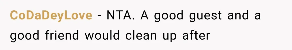 CoDaDeyLove − NTA. A good guest and a good friend would clean up after