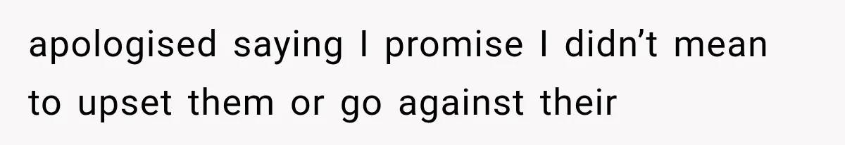 apologised saying I promise I didn’t mean to upset them or go against their