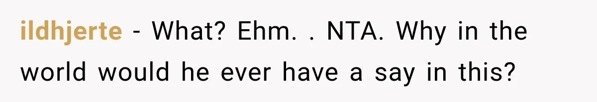 ildhjerte − What? Ehm. . NTA. Why in the world would he ever have a say in this?