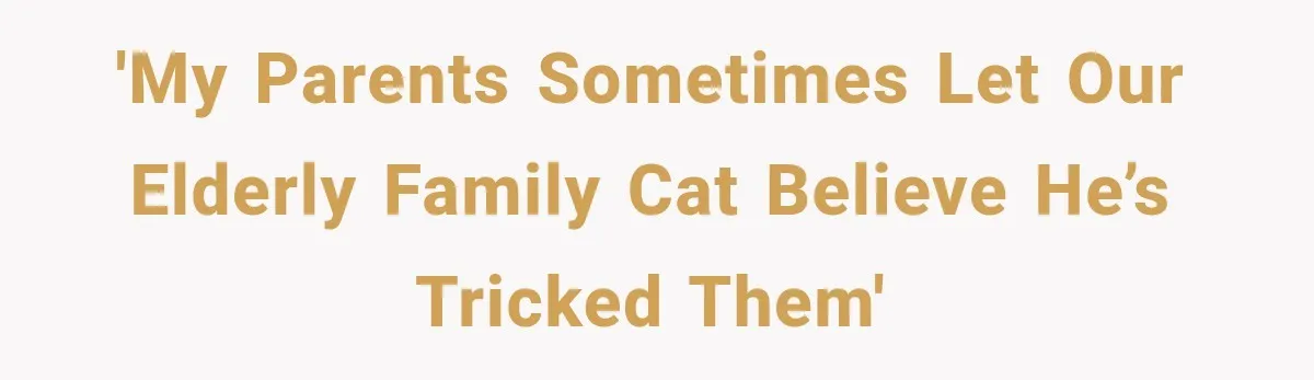 Elderly Cat Learns He Can “Trick” His Owners, But They Secretly Let Him Win 'My parents sometimes let our elderly family cat believe he’s tricked them'