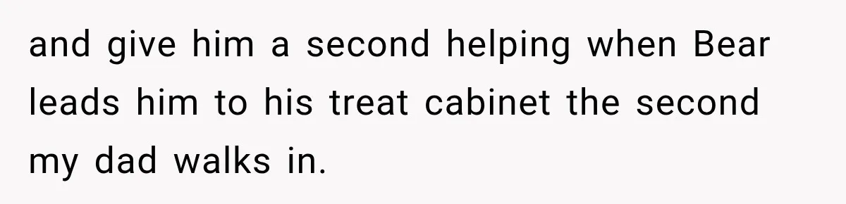 Elderly Cat Learns He Can “Trick” His Owners, But They Secretly Let Him Win and give him a second helping when Bear leads him to his treat cabinet the second my dad walks in.