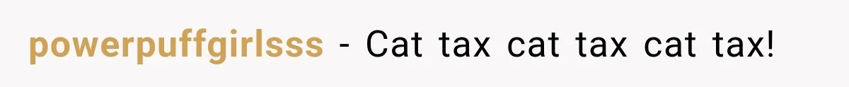Elderly Cat Learns He Can “Trick” His Owners, But They Secretly Let Him Win powerpuffgirlsss − Cat tax cat tax cat tax!