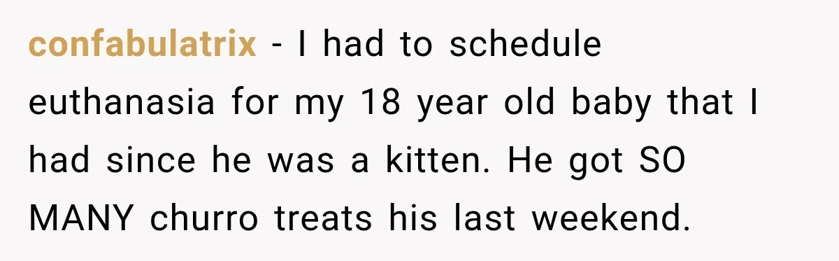 Elderly Cat Learns He Can “Trick” His Owners, But They Secretly Let Him Win confabulatrix − I had to schedule euthanasia for my 18 year old baby that I had since he was a kitten. He got SO MANY churro treats his last weekend.