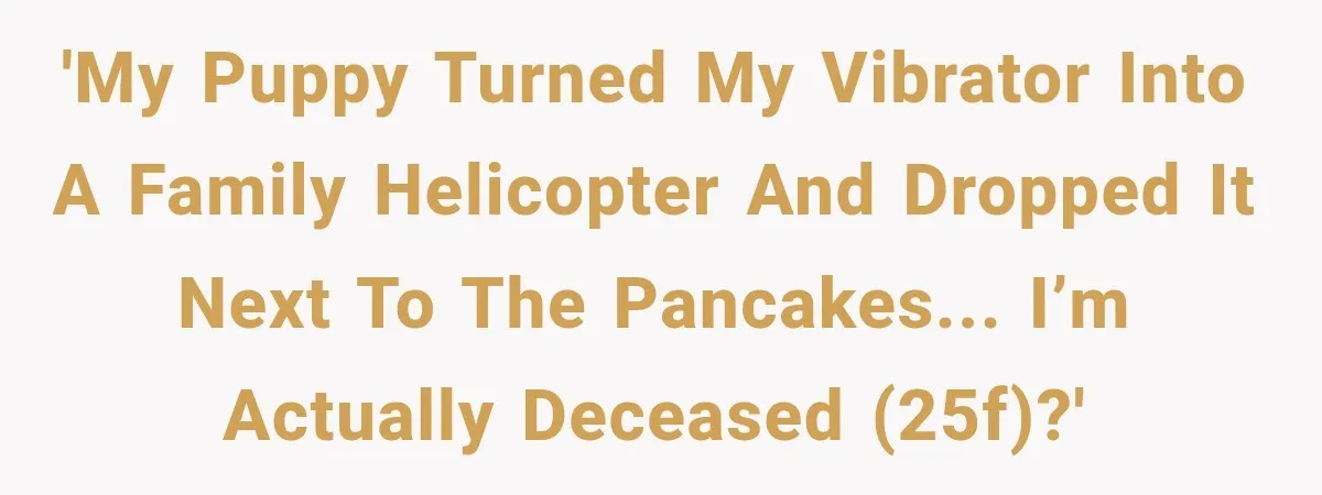 'My puppy turned my vibrator into a family helicopter and dropped it next to the pancakes... I’m actually deceased (25F)?'
