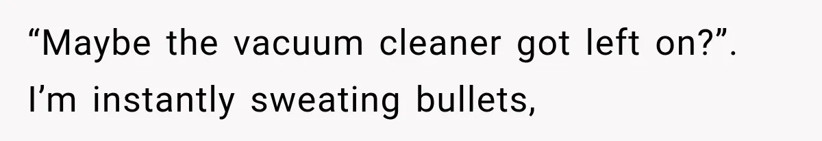 “Maybe the vacuum cleaner got left on?”. I’m instantly sweating bullets,