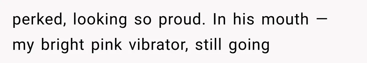perked, looking so proud. In his mouth — my bright pink vibrator, still going
