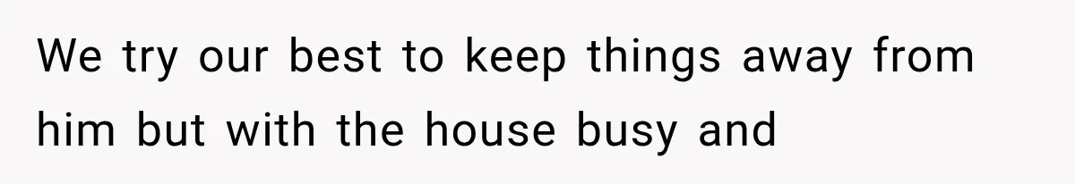 We try our best to keep things away from him but with the house busy and