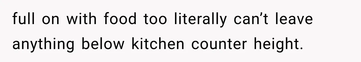 full on with food too literally can’t leave anything below kitchen counter height.
