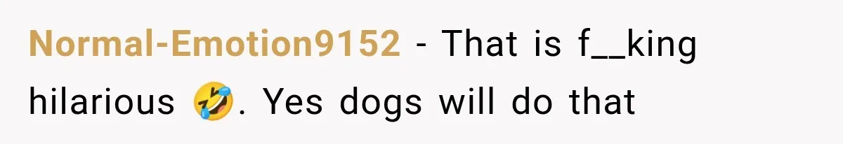 Normal-Emotion9152 − That is f__king hilarious 🤣. Yes dogs will do that