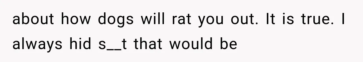 about how dogs will rat you out. It is true. I always hid s__t that would be