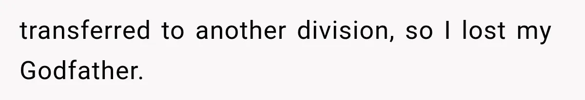 Wife Leaves Quiet Husband for Being “Unambitious,” Then Discovers He Built Her Family’s Empire transferred to another division, so I lost my Godfather.