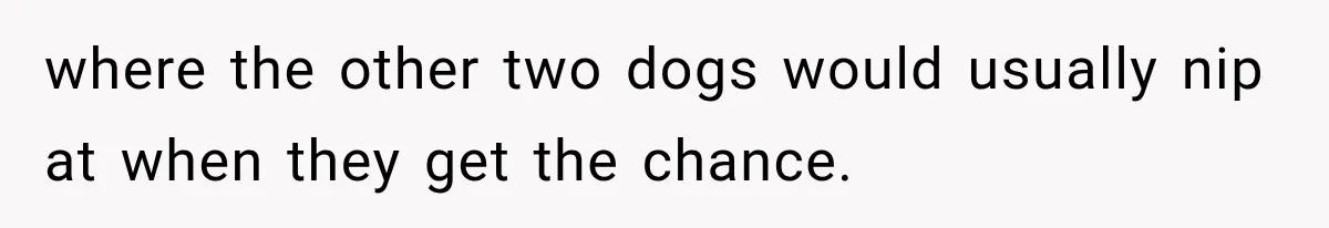 Daughter Inherited Her Mother’s House, But Her Dad Moved In His New Family Without Respecting Boundaries where the other two dogs would usually nip at when they get the chance.