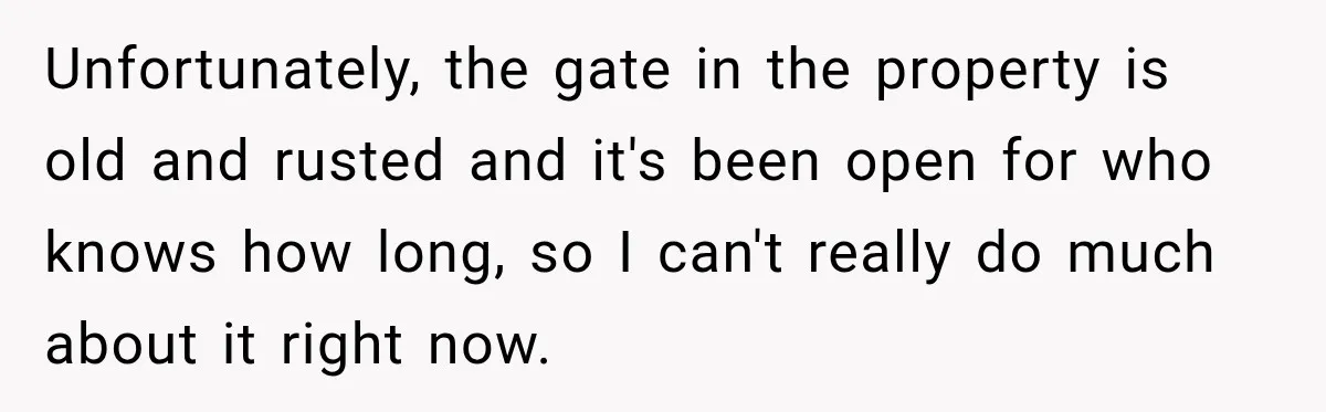 Daughter Inherited Her Mother’s House, But Her Dad Moved In His New Family Without Respecting Boundaries Unfortunately, the gate in the property is old and rusted and it's been open for who knows how long, so I can't really do much about it right now.