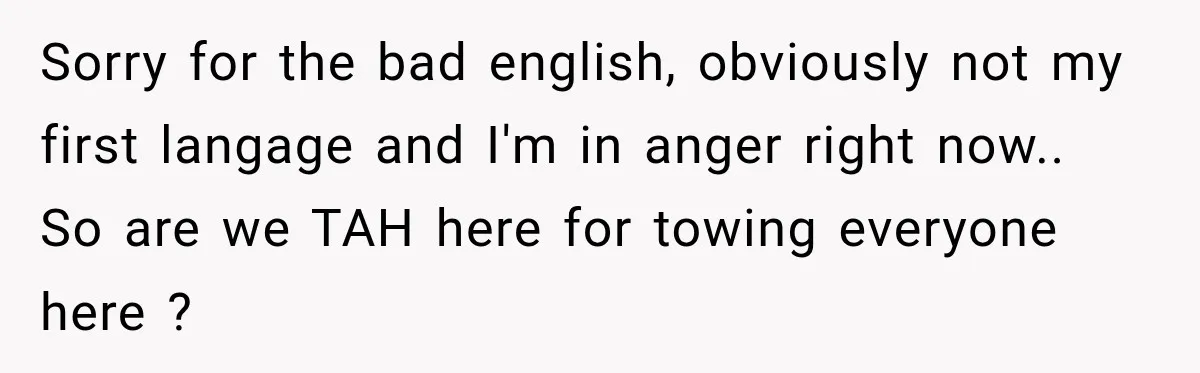 Sorry for the bad english, obviously not my first langage and I'm in anger right now.. So are we TAH here for towing everyone here ?