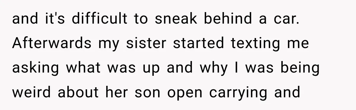 She Kept Suggesting Restaurants with Metal Detectors, and Her Armed Nephew Finally Asked Why and it's difficult to sneak behind a car. Afterwards my sister started texting me asking what was up and why I was being weird about her son open carrying and