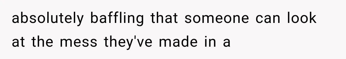 absolutely baffling that someone can look at the mess they've made in a