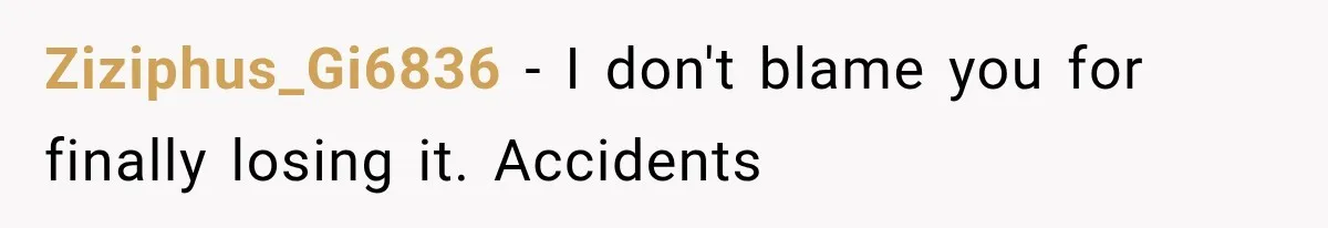 Ziziphus_Gi6836 − I don't blame you for finally losing it. Accidents