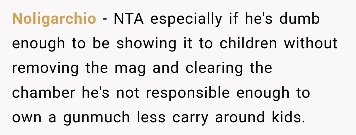 She Kept Suggesting Restaurants with Metal Detectors, and Her Armed Nephew Finally Asked Why Noligarchio − NTA especially if he's dumb enough to be showing it to children without removing the mag and clearing the chamber he's not responsible enough to own a gunmuch...