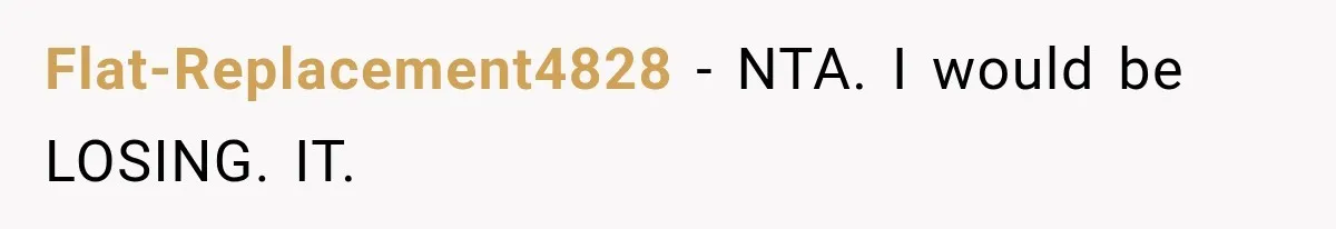 Flat-Replacement4828 − NTA. I would be LOSING. IT.