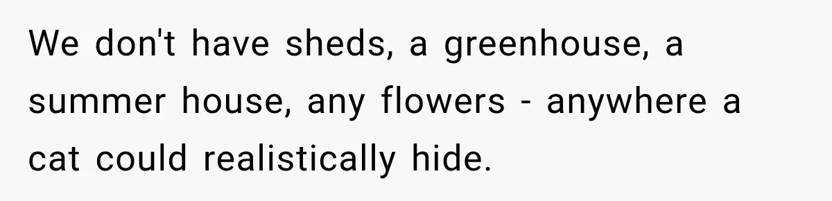 We don't have sheds, a greenhouse, a summer house, any flowers - anywhere a cat could realistically hide.