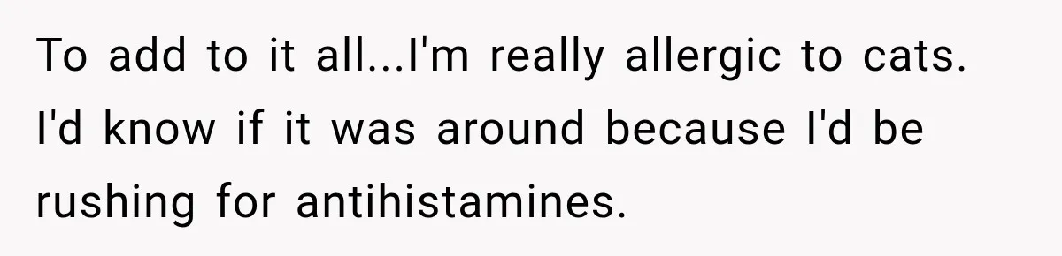 To add to it all...I'm really allergic to cats. I'd know if it was around because I'd be rushing for antihistamines.